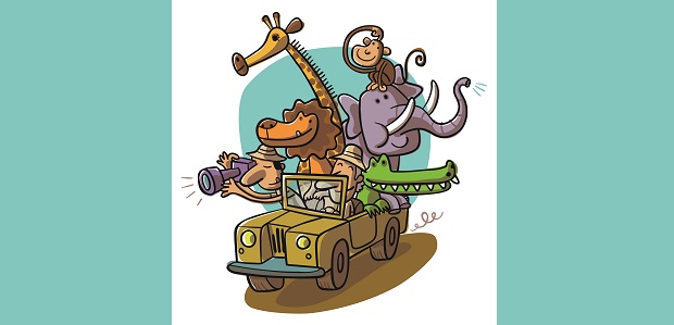Safari