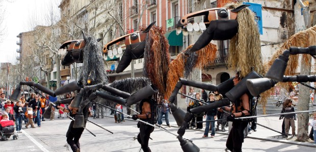 Cavalls de Menorca