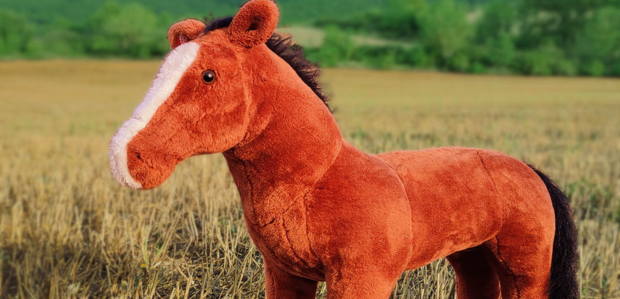 Petit poni