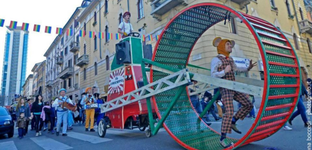 Il Criceto